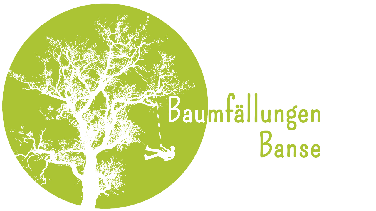 Baumfällungen Banse