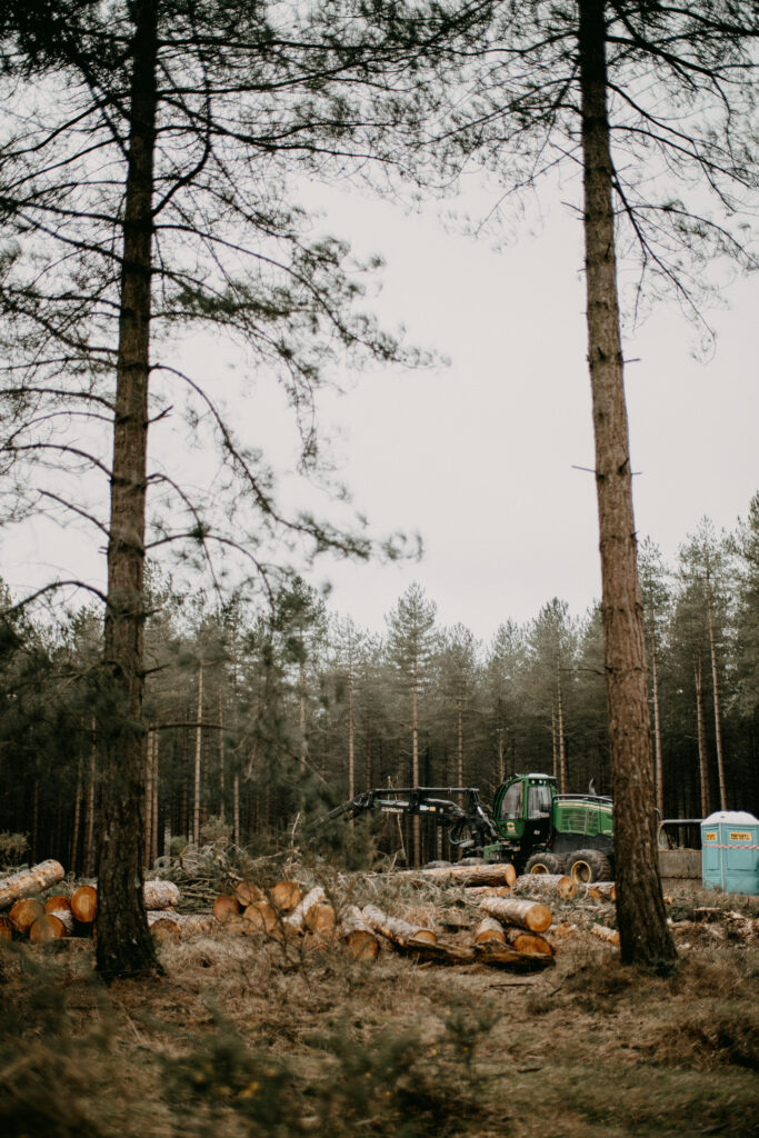 Beitragsbild von Hallo Welt