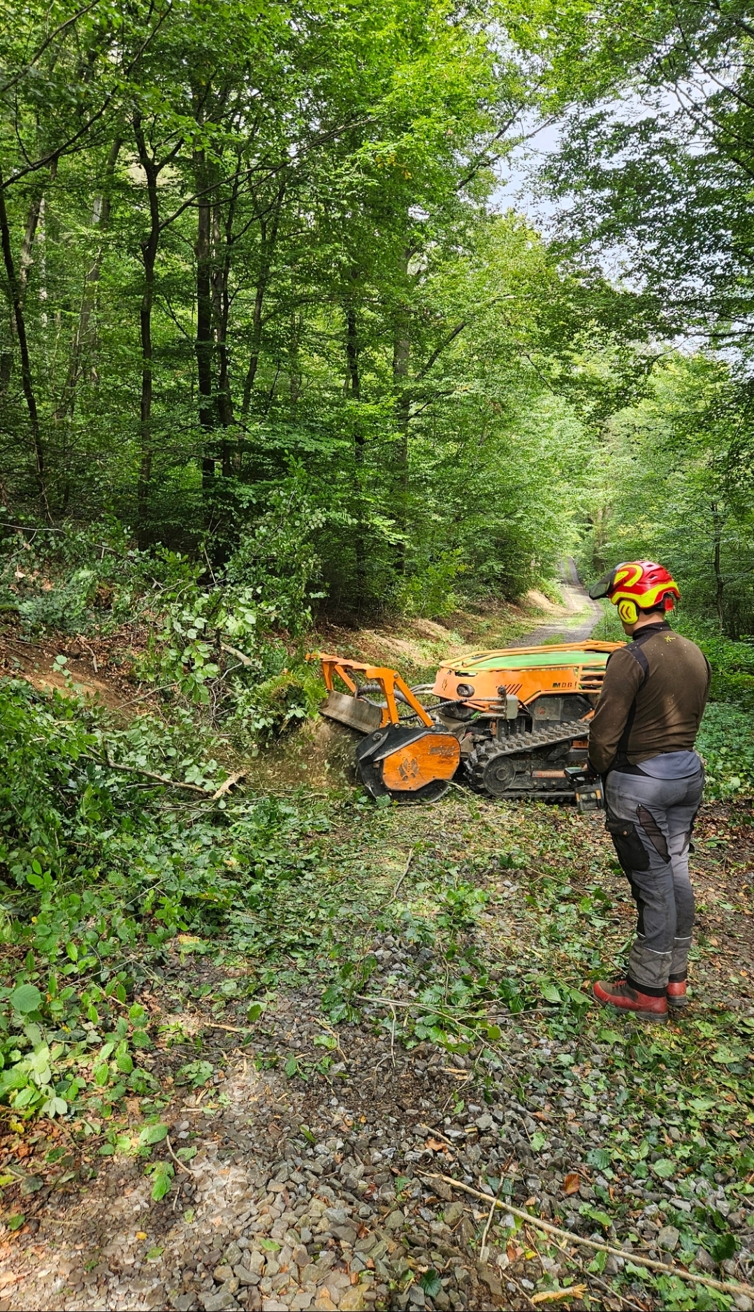 Mulchraupe bei der Pflege eines Waldwegrandes