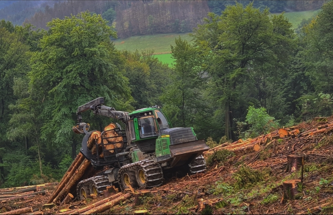 Forstmaschine bei der maschinellen Holzernte und Holzrückung am Hang